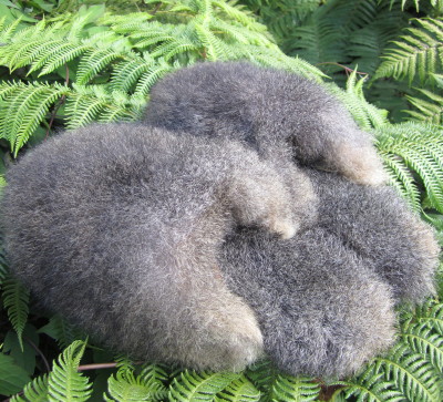 possum slippers nz possum fur boots clogs cozy slippers scuffs possum slippers nz possum fur boots clogs cozy slippers scuffs
