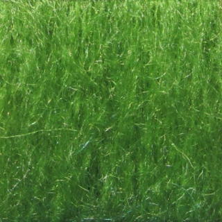 MASTERWEAVE Mohair Throws LIME GREEN