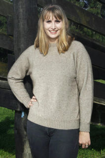 Plain Crew Neck Jumper Possum Merino LOTHLORIAN/9936