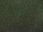 MOSS GREEN